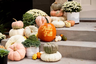 7 Fall Front Entry Ideas You Can Keep Up All Season Long