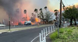 Here’s Where You Can Donate to Help the Victims of the Maui Wildfires